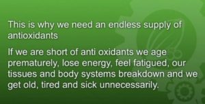 antioxidant-text